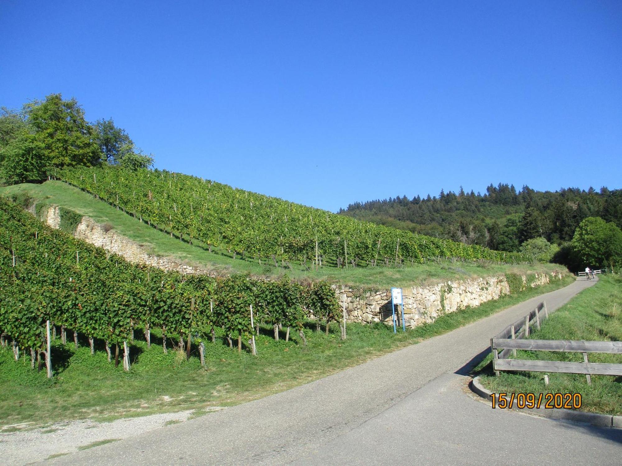 Ferienwohnung Am Sulzbach Sulzburg Kültér fotó